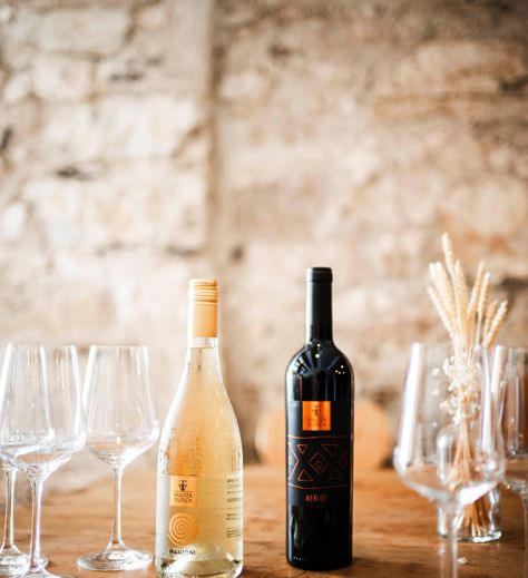 Bicchieri e bottiglie per la degustazione di vini in cantina