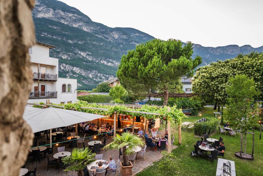 Our garden