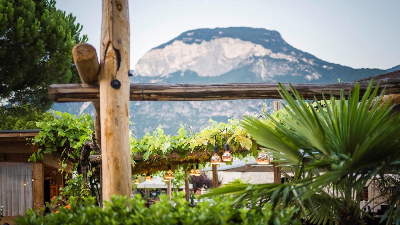 Il nostro giardino e le montagne