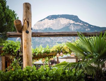 Unsr Gastgarten und die Berge