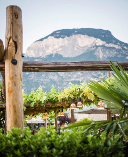 Unsr Gastgarten und die Berge
