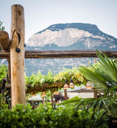 Unsr Gastgarten und die Berge