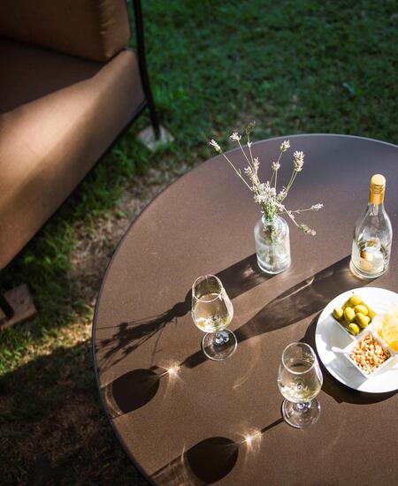 A table in the garden seen from above. On the table, there are two glasses of white wine, the bottle of said wine, a plate with crisps, peanuts and olives, and a vase with flowers.