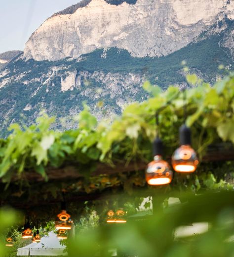 Blick auf unseren Gastgarten und die Berge