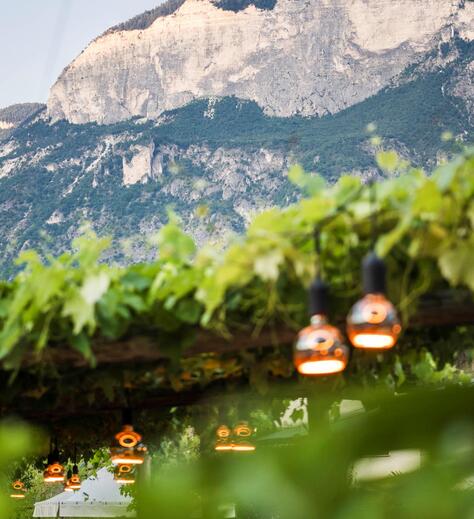 View of our guest garden and the mountains