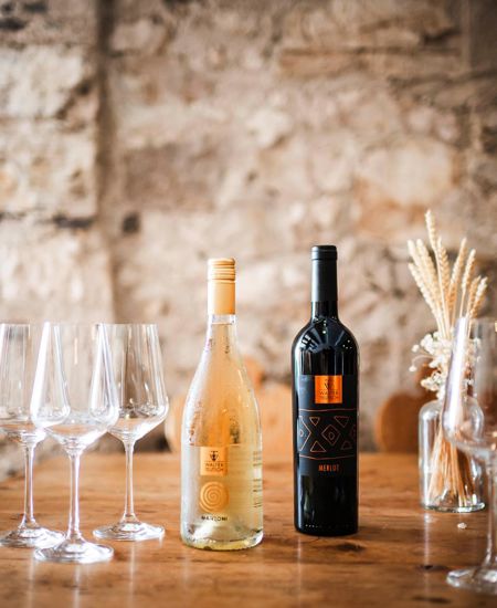 Bicchieri e bottiglie per la degustazione di vini in cantina