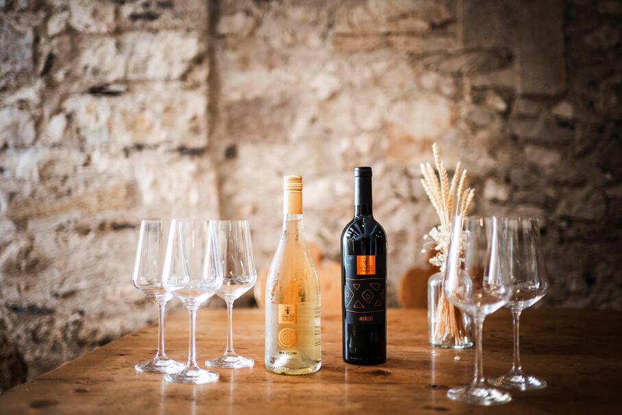 Bottles and glasses for the wine tasting in the wine cellar