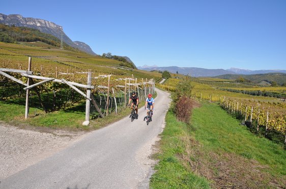 Kalterer See Weingüter